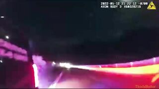 Dog In Good Condition But Shocked After Being Rear-ended By Police Dog Unit Truck