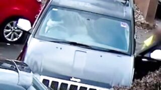 Car Accident